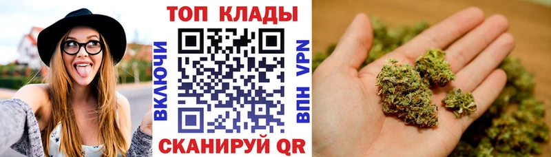Где купить наркоту Новодвинск Cocaine АМФ Конопля A-PVP