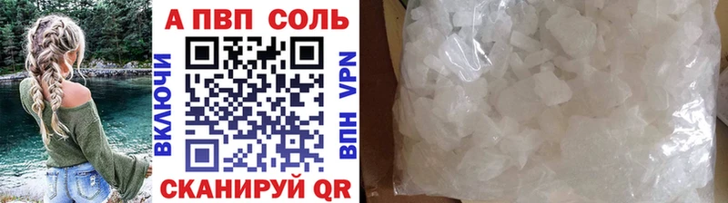 A PVP СК  Новодвинск 