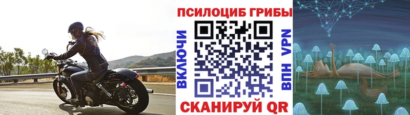 Псилоцибиновые грибы Magic Shrooms  Новодвинск 
